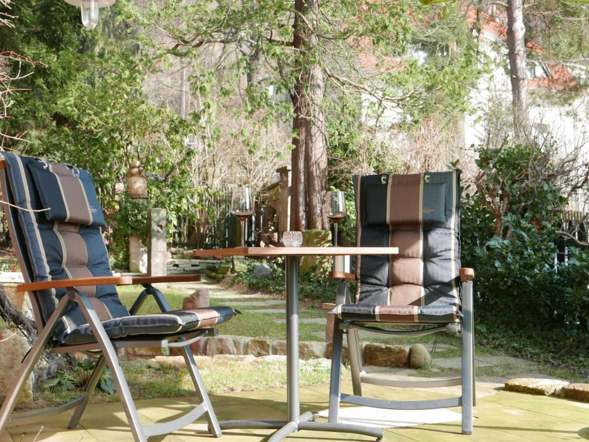 Ferienwohnung Dresden-Pillnitz - Elbhang-Villa - "Am Zuckerhut" Ngoại thất bức ảnh